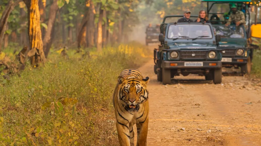dandeli karnataka
