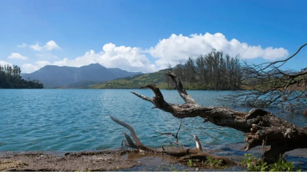 Avalanche Lake – Adventure and Solitude, places to visit in ooty, ASAPHolidays