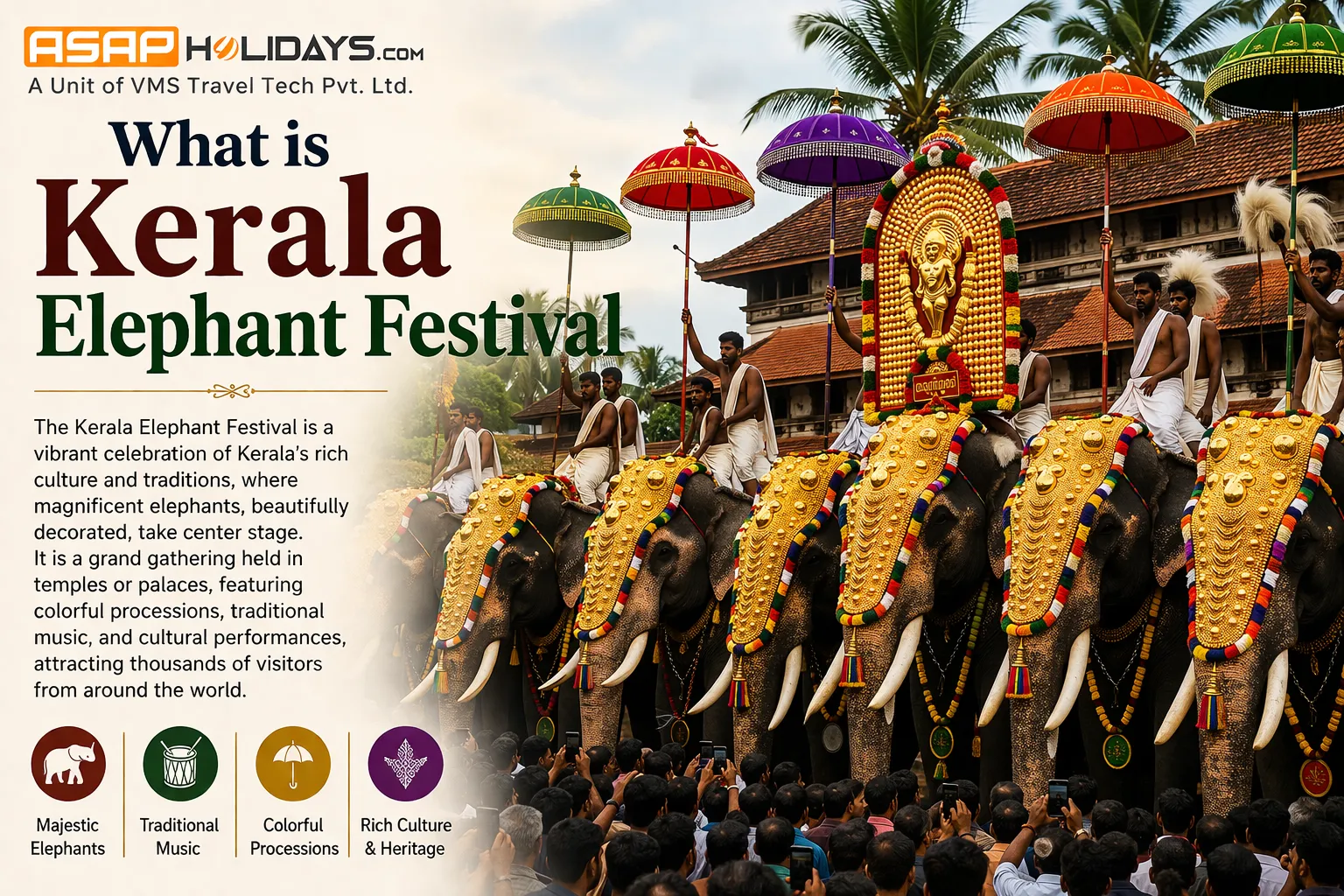 Kerala Elephant Festival