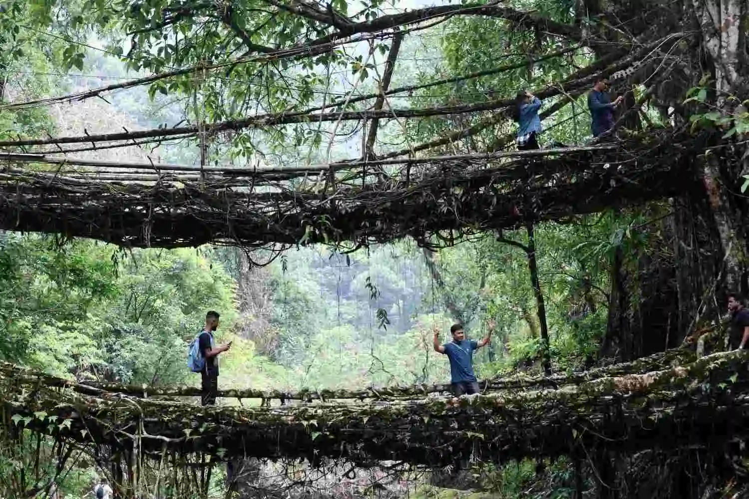 Walk Across Meghalaya’s Root Bridges