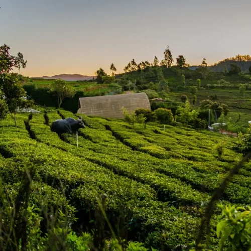 Kotagiri ooty