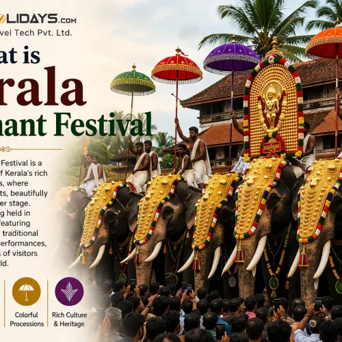 Kerala Elephant Festival
