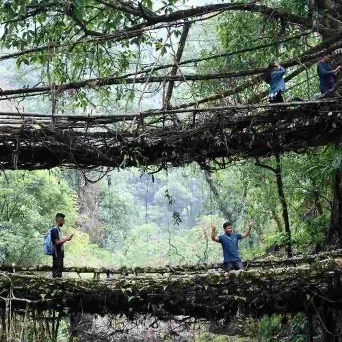 Walk Across Meghalaya’s Root Bridges